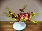 Орхидеи Дендробиум 9 шт в вазе Алекс SR56 купить в Москве