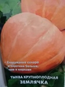 Тыква крупноплодная Землячка рассада OG512 купить в Москве