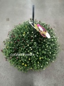 Хризантема подвесная OG706 купить в Москве