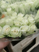 19 белых роз Атена срезка SR571 купить в Москве
