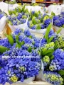 Срезанные цветы купить в Москве