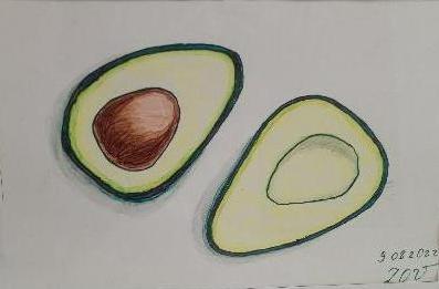 Картина «Авокадо» — скетч в авторской технике | Артикул K05 Картина «Авокадо» — скетч в авторской технике | Артикул K05 купить в Москве