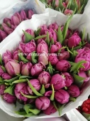 Тюльпан дв. Дабл Принцесс фиолетовый срезка SR280 купить в Москве