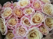 19 розово-персиковых роз Мисс пигги срезка SR791 купить в Москве