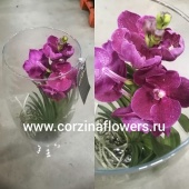 Орхидея Ванда бордовая в стекле Шампань KM126 купить в Москве