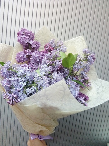 Букет сирени в фетре с атласной лентой SR351 Букет сирени в фетре с атласной лентой SR351 купить в Москве