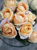 9 кремовых роз Кашемир срезка SR792 купить в Москве