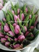 50 розовых Тюльпан Аафка срезка SR288 купить в Москве
