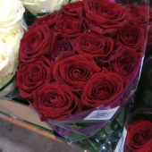 19  красных роз Наоми срезка SR341 купить в Москве