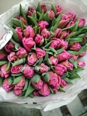 Тюльпаны розовые попугайчатые Марвел срезка SR555