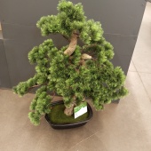 Дерево искусственное Бонсай Хвоя в кашпо 60 см IS01 купить в Москве