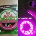 Фитолампы и светодиодные ленты для растений купить в Москве