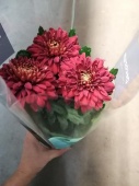 Хризантема красная Зембла Некст ред в горшке OG1100 купить в Москве