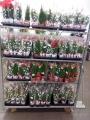 Растения в подарок на Новый год купить в Москве