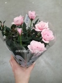 Роза розовая Арома в горшке DZ441 купить в Москве