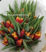 Букет тюльпанов Тарзан срезка SR150 купить в Москве