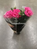 Роза розовая в горшке патио Регина DZ7 купить в Москве