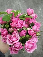 Роза кустовая Илин срезка SR463 купить в Москве