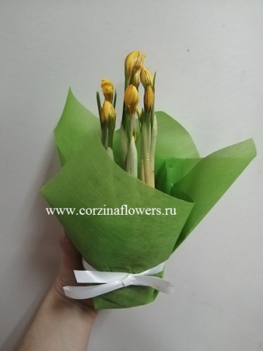 Крокус в горшке 7.9 шт в фетре KM178 купить в Москве фото 3