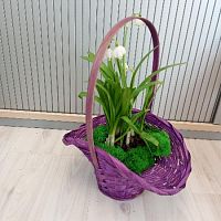 9 Белоцветников в корзине Шляпа KM838 купить в Москве