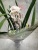 Орхидея Цимбидиум белый 14см