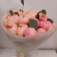 Букет из 19 пионов SR1267 купить в Москве