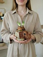 Нарцисс Брайдал Краун в кашпо Слоник KM632 купить в Москве