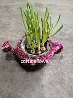 Мускари в лейке KM638 купить в Москве