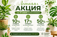 Летняя акция до 17 июня