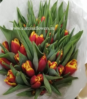 букет тюльпанов тарзан 50 шт https://corzinaflowers.ru/catalog/bukety_iz_tsvetov_fruktov_ovoshchey_i_dr/srezannye_tsvety/2048/