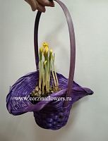 Крокусы в Корзине Шляпа KM319 купить в Москве