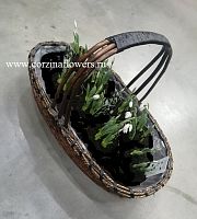51 подснежник в корзине KM303 купить в Москве