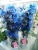 Дендробиум крашенный синий 12см https://corzinaflowers.ru/catalog/komnatnye_rasteniya_i_tsvety/orkhidei_komnatnye/dendrobium_v_gorshke/6762/