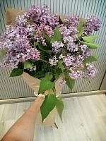 5 веток сирени в крафте SR747 купить в Москве