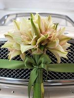 Амарилис Бентли срезка SR1234 купить в Москве