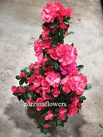 Азалия малиновая пирамида DZ437 купить в Москве