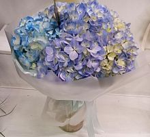 Букет из 5 синих гортензий | Hydrangea Blue SR1265 купить в Москве