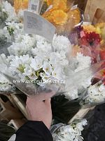 Нарцисс белый кустовой Зива срезка SR269 купить в Москве