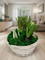 Первоцветы в корзине Праздник KM775 купить в Москве