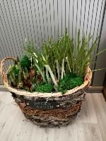 Первоцветы в корзине Гарден KM768 купить в Москве