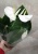 Антуриум Антедесия Вай 12см https://corzinaflowers.ru/catalog/komnatnye_rasteniya_i_tsvety/dekorativno_tsvetushchie_rasteniya/anturium_v_gorshke/2081/