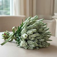 Вероника куст Смарт Вейв срезка SR1120 купить в Москве