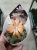 Кактус Сулькоребуция Санрайс цветение https://corzinaflowers.ru/catalog/komnatnye_rasteniya_i_tsvety/kaktusy_ekheverii_i_dr_sukkulenty/kaktusy_v_gorshkakh/sulkorebutsiya/2979/
