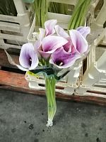 Калла Экстази срезка SR773 купить в Москве