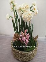 Корзина первоцветов подарочная KM369 купить в Москве
