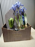 Гиацинт и ирис в конверте Винтаж KM265 купить в Москве