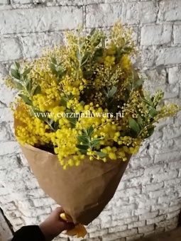 Мимоза 5 шт крафт https://corzinaflowers.ru/catalog/bukety_iz_tsvetov_fruktov_ovoshchey_i_dr/mimoza_bukety/1671/