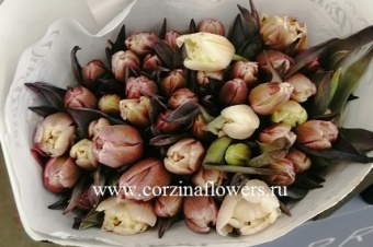 Тюльпаны коричневые 50 шт срез https://corzinaflowers.ru/catalog/bukety_iz_tsvetov_fruktov_ovoshchey_i_dr/srezannye_tsvety/2610/