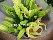 Лилия Азиатка Бах срезка SR537 купить в Москве