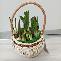 Первоцветы в корзине Фонарь KM1012 купить в Москве